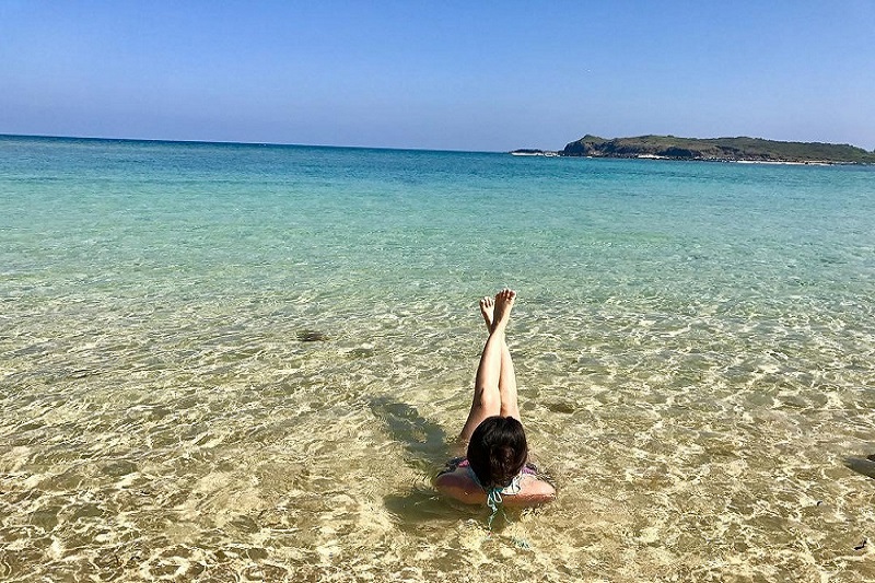 Ảnh slide minh họa 8